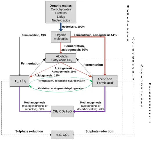 Figure  2.2:  Schematic illustration of the different metabolic steps and microbial groups involved in  the  complete  degradation  of  organic  matter  (Van  Haandel  &amp;  Lettinga,  1994;  McInerney,  1999; 