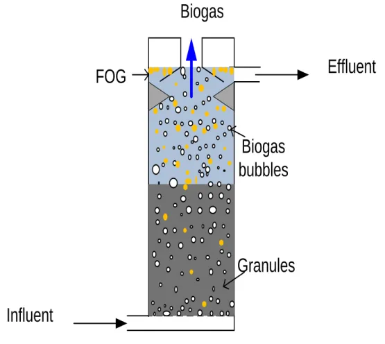 Figure 2.3: The up flow anaerobic sludge bed reactor (UASB) (Karnchanawon, 2009)   