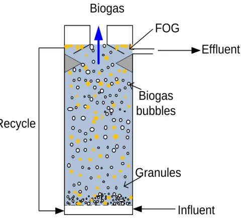 Figure 2.4: The expanded granular sludge bed (EGSB) reactor (Nunez &amp; Martinez, 1999) 