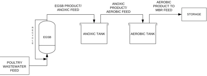 Figure  4.1:  Schematic  diagram  for  the  laboratory  bench-scale  EGSB,  anoxic  and  aerobic  bioreactor system 