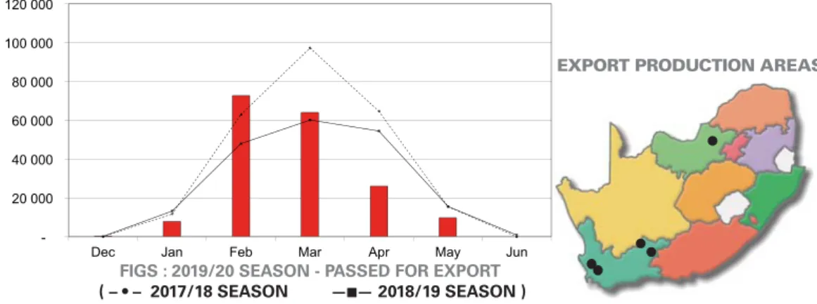 FIGS : PAST 5 SEASONS - PASSED FOR EXPORT