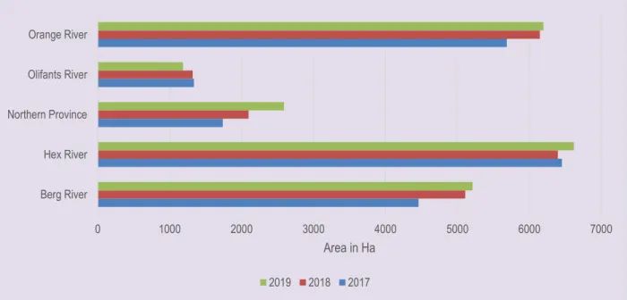 Figure 2: Area under production, 2017 - 2019 