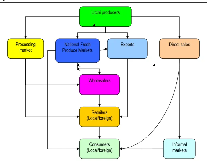 Figure 24: The litchi value chain 