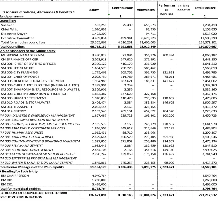 Table 51 MBRR SA23 – Salaries, allowances & benefits 