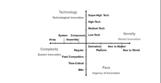 Figure 6: The Diamond of Innovation – for adapting a project to context  (Shenhar, 2015a) 