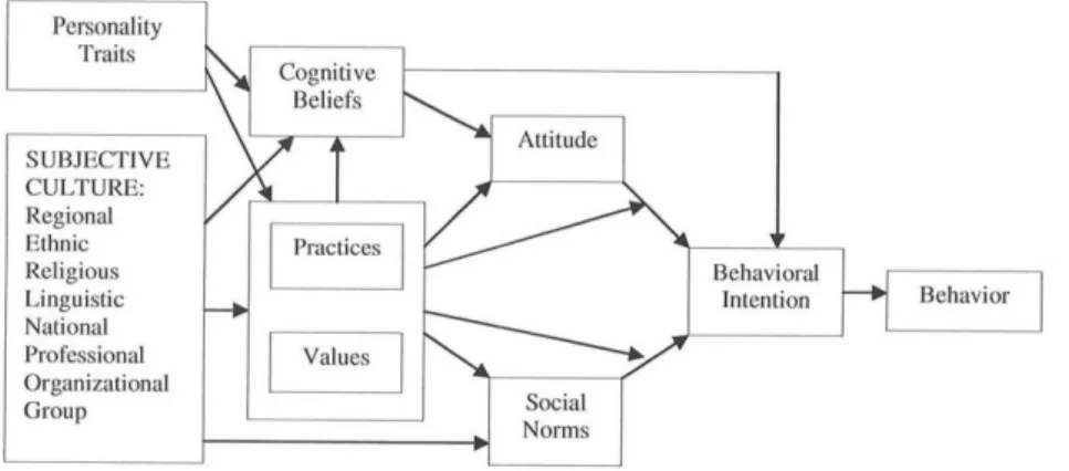 Figure 5.1: Theoretical model of behaviour theory in social psychology 