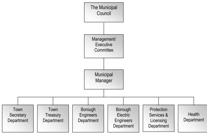 Figure 3 Existing Category B Municipal Line Type Organisational Structure 