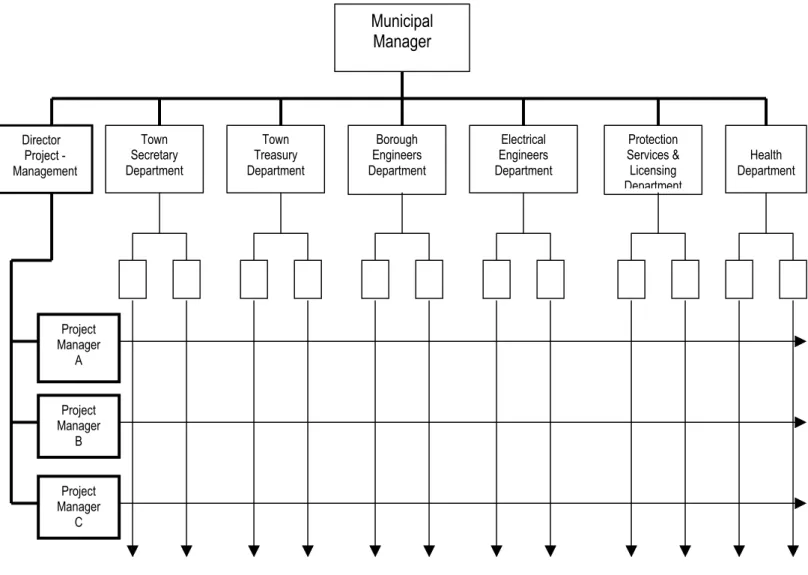 Figure 5 Matrix Organisational Structures for Existing Category B Municipalities 