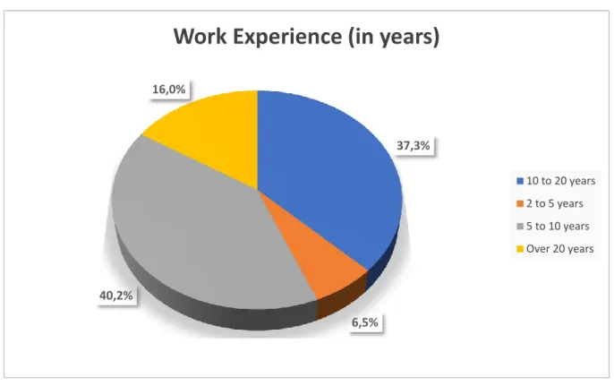 Figure 4. Respondent work experience 