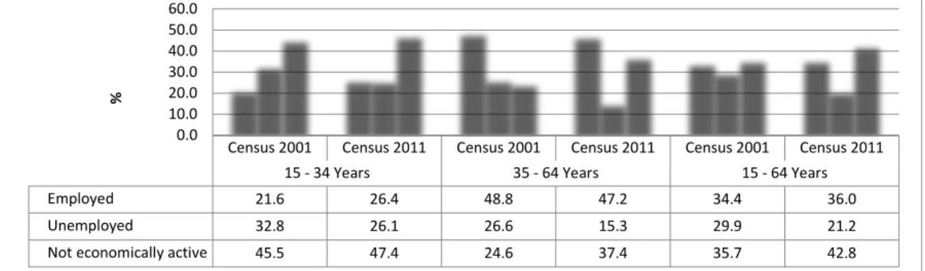 Figure 3.1: Percentage distribution of Matjhabeng population by employment status and  age groups – Census 2001 and 2011 
