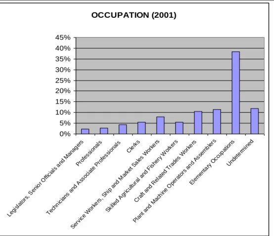 Table 8: Employment Sector 
