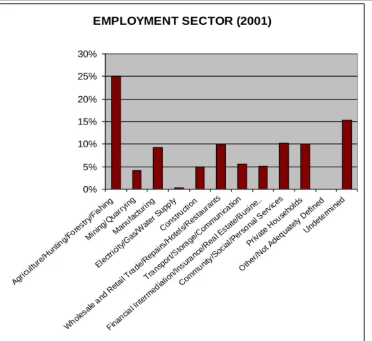 Table 9: Mfolozi – Employment Type by Economic Sector (2007) (%)  Employment 
