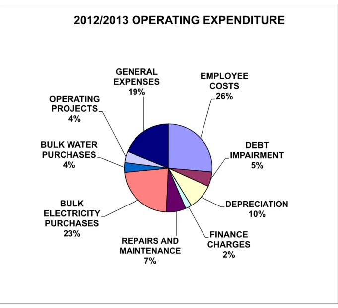 Figure 2:  Main operational expenditure categories for the 2012/13 financial year EMPLOYEE 
