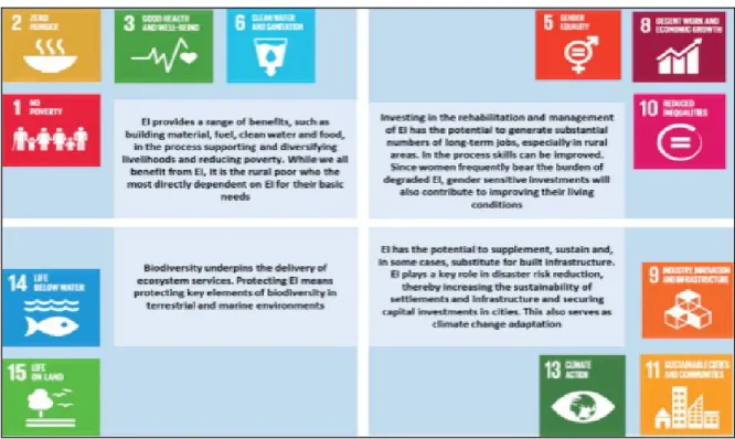 Figure 3.3: Investing in ecological infrastructure supports a range of the SDG  targets