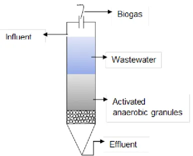 Figure 2.3: Static Granular Bed Reactor (adapted from Debik and Coskun, 2009). 