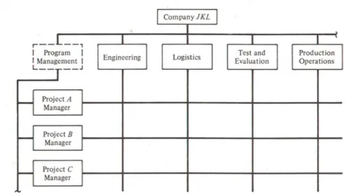 Figure 9: Matrix Organisational Structure  Source: Blanchard, (1998) 