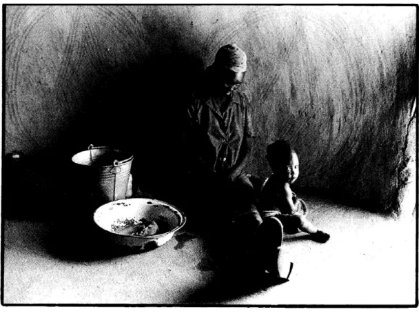 Figure 5: Don Edkins  Gold Widow, 1988 