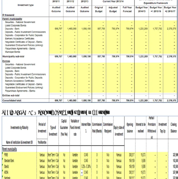 Table 44: SA15 – Detail Investment Information 