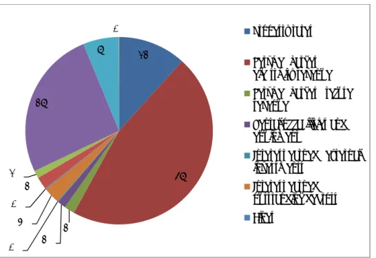 Figure 1: Detailed Revenue by Source 