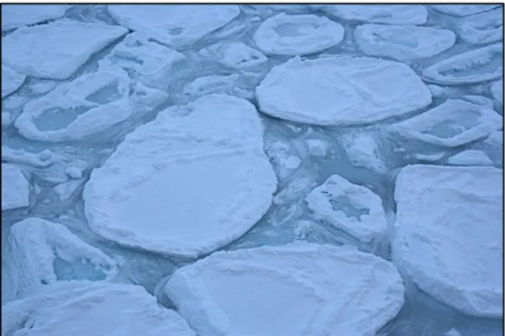 Figure 1. 1: Pancake ice in the MIZ of the SO at -56° 80’ 