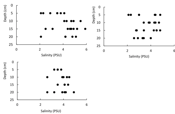 Figure 2. 3 Vertical salinity profiles (PSU) of pancake sea-ice samples. 