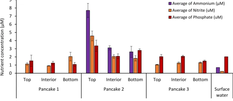 Figure  2.  6:  Average  nutrient  (nitrite,  ammonium,  and  phosphate)  concentration  (µM)  across  pancake  sea-ice  samples according to depth layers